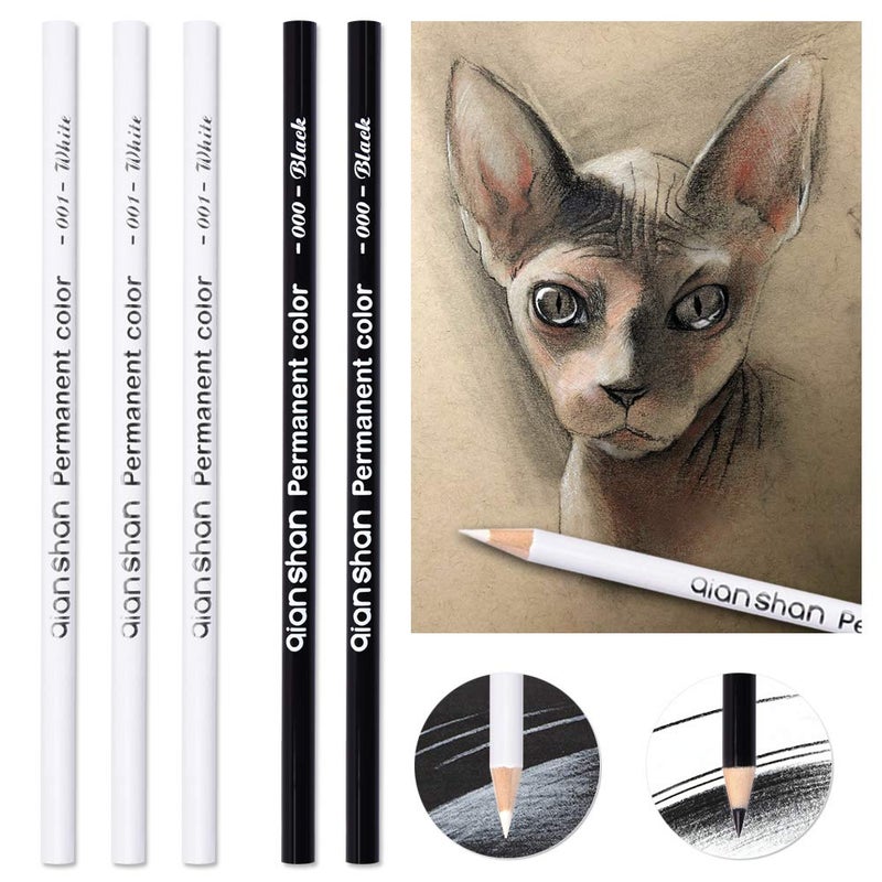 qianshan 5Pcs Black White Color Pencils - Permanent Color Drawing Pencil Oil-based Wooden Colored Pencils for Artist and Beginner Art Projects, 2 Colors of 3 White, 2 Black - Image 2